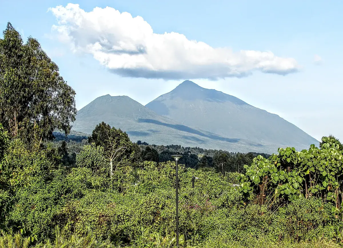 The chain of dormant Virunga volcanoes seen from the road